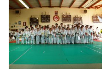30ème Fête du JUDO