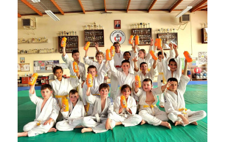 ECO CITOYENNETE ET JUDO